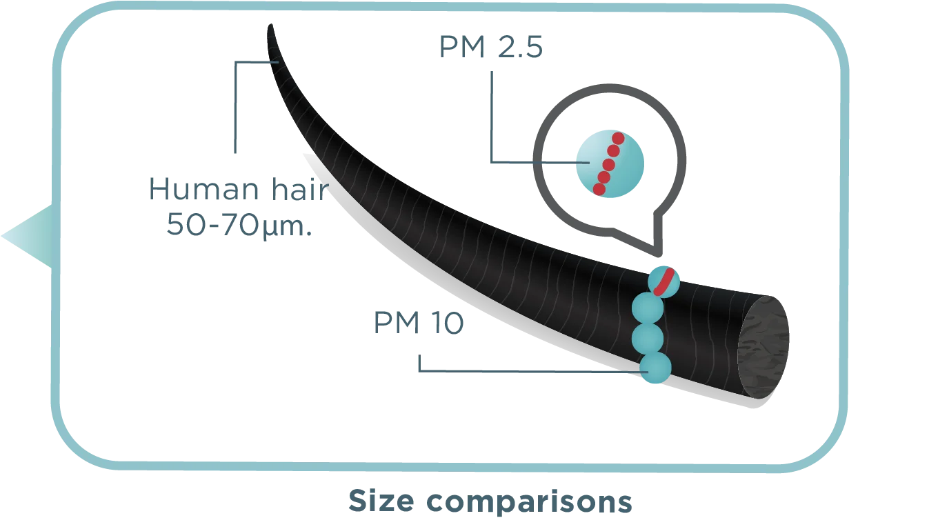 Size comparison between CUCKOO Ultra Air Filtration and human hair