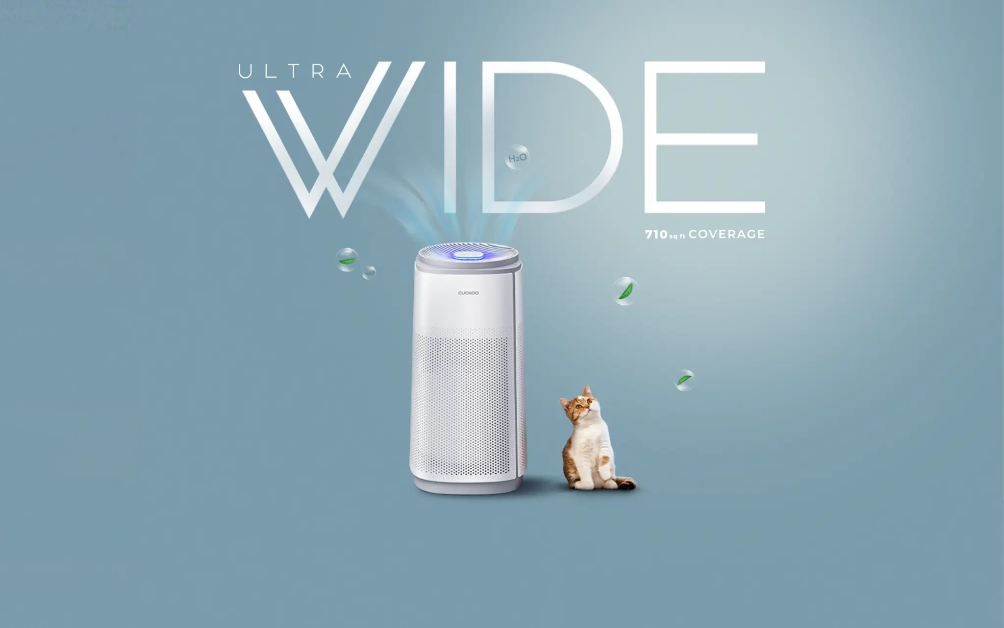 Ultra Wide K Model